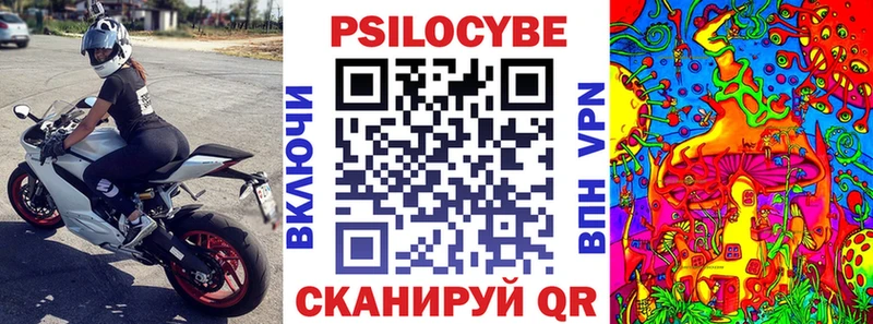 как найти закладки  Арзамас  Галлюциногенные грибы Psilocybe 